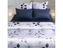 Y240 ����.jpg