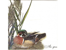 №118  1/4 ����     8  �