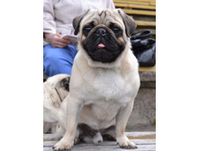 ����� �������.jpg