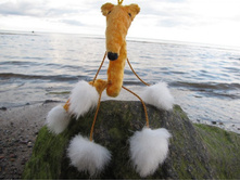 �������� �� ��������� � �������� ��������, ������ ��� ������ ���� �������, ��� �� ����� �� ����������!