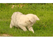 ���� ������.jpg