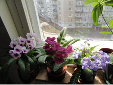 ��������������