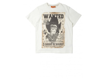 �������� ���. 1603810306