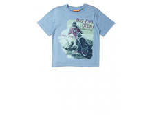 �������� ���. 1603801483