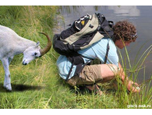 � �������� ��� - ��������!