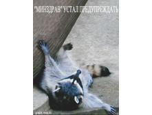 ������ ���� ���� ����������� ������������