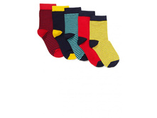 ����� 5�� ���. 1484209530