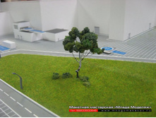 ������ ��� ������.JPG