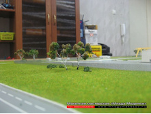 ������� � ������.JPG