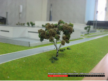 ������� � ��������-001.JPG