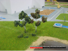 ������� ��� ������.JPG