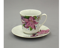 ������ ���� ��������