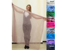 1C**310_1C**311 (���.���.� 160)