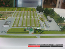 ����� �����������-001.JPG