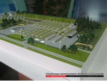 ����� �����������-002.JPG