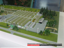 ����� �� �����������.JPG