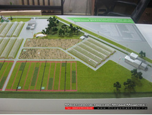 ���������� ��������.JPG