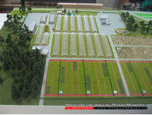 ��������������� ��������� ������ �����-003.JPG