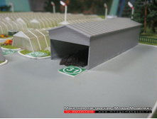 ����������� ������� ������.jpg