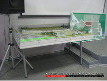 ������ ��� ������.JPG