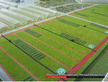 ����������� ����� ������-003.JPG