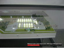 ����� ������-001.JPG