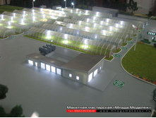 ������ ��� ������.JPG