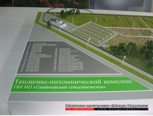 ����������� �����.JPG