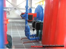 ������������ �������� ���� � �������.jpg