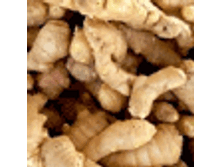 ������ ����� 250� - 260�