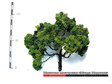 ������ ��� ������-001.jpg