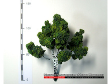 ������ ��� ������-002.jpg