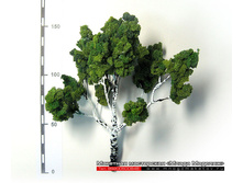 ������ ��� ������-003.jpg