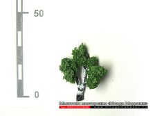 ������ ��� ������-004.jpg