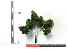 ������ ��� ������-006.jpg