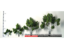 ������ ��� ������-007.jpg