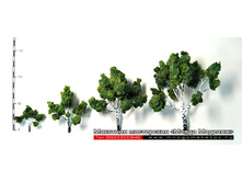 ������ ��� ������-008.jpg