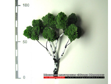 ������ ��� ������-009.jpg