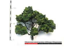 ������ ��� ������-011.jpg