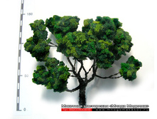 ������ ��� ������-012.jpg