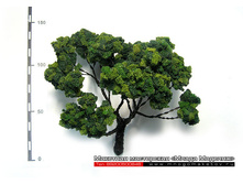 ������ ��� ������-013.jpg