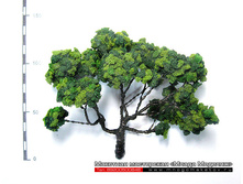 ������ ��� ������-014.jpg