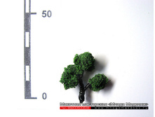 ������ ��� ������-015.jpg