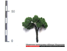 ������ ��� ������-017.jpg