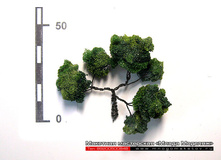 ������ ��� ������-019.jpg