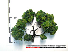 ������ ��� ������-021.jpg