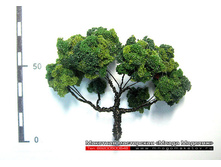 ������ ��� ������-022.jpg