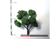 ������ ��� ������-024.jpg