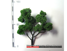 ������ ��� ������-025.jpg