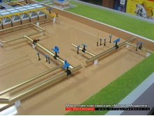 ����� �������.JPG